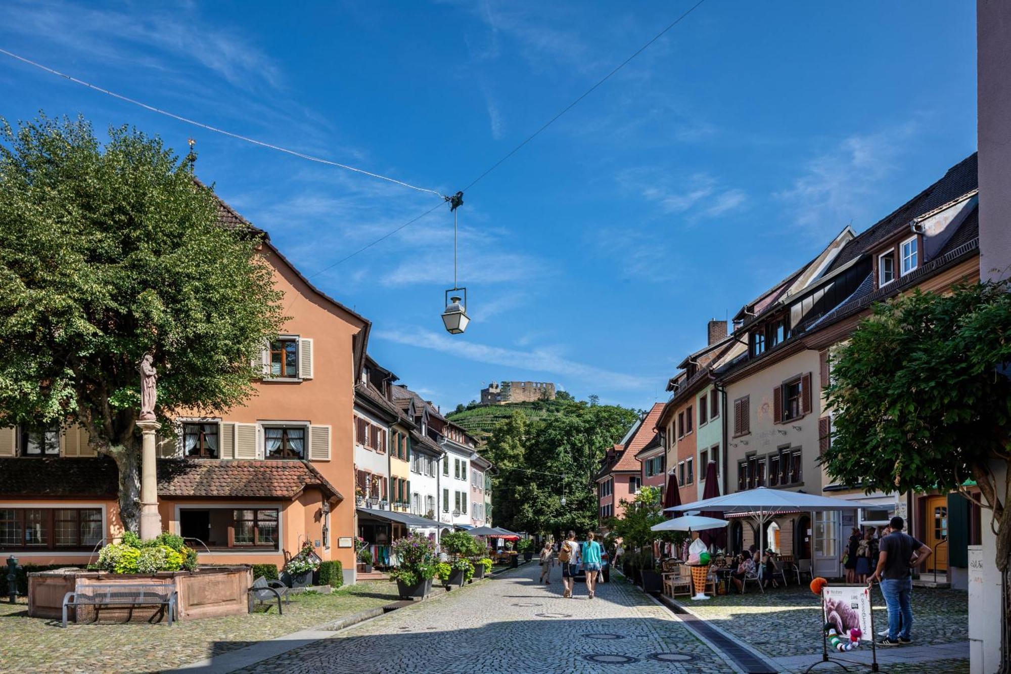 Ferienwohnung Am Neumagen Штауфен-им-Брайсгау Экстерьер фото